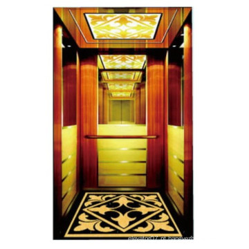 Bom Qulity Luxo Máquina RoomLess Elevador de Passageiros elevadores usados ​​em casa